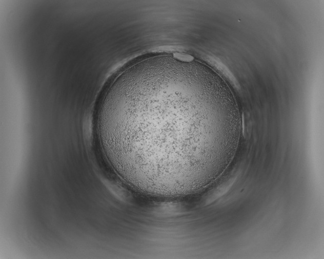 X0000111940204200908101209