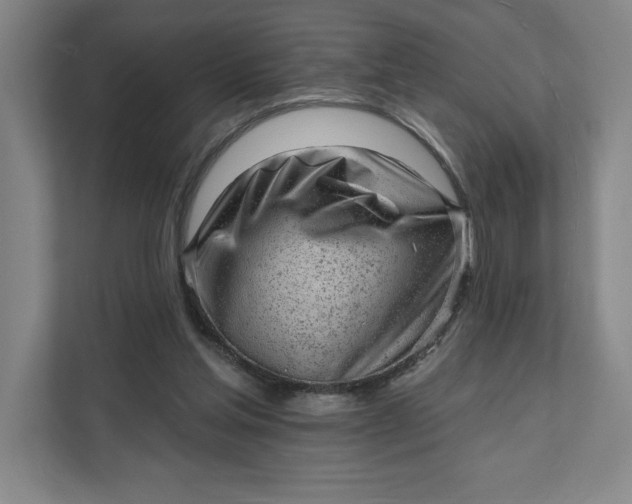 X0000111940205200908101209