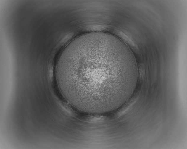 X0000111940206200908101209