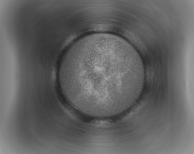 X0000111940208200908101209