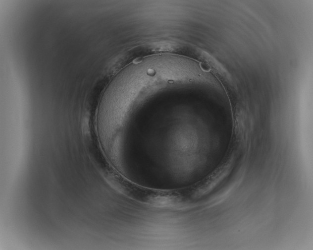 X0000111940209200908101209