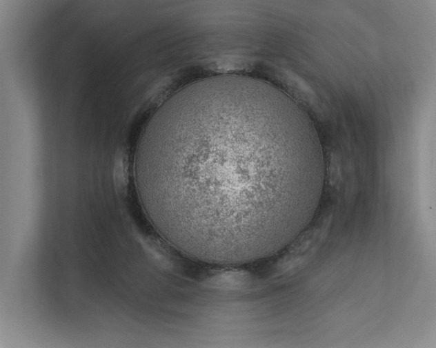 X0000111940210200908101209