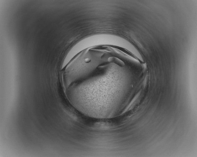 X0000111940211200908101209