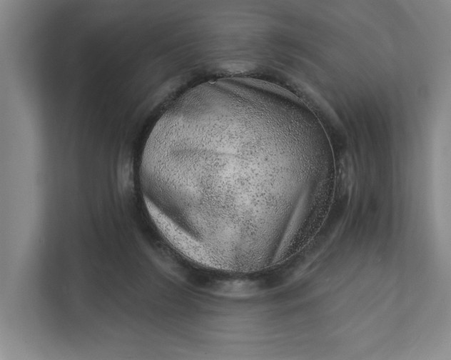 X0000111940212200908101209