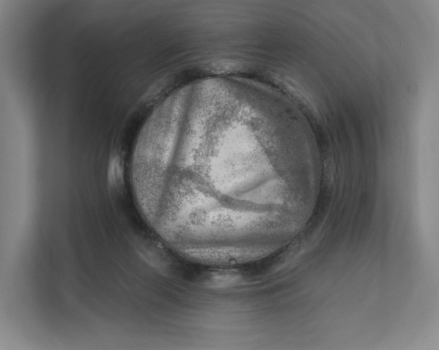 X0000111940214200908101209