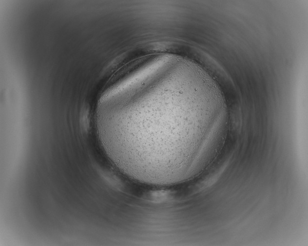 X0000111940216200908101209