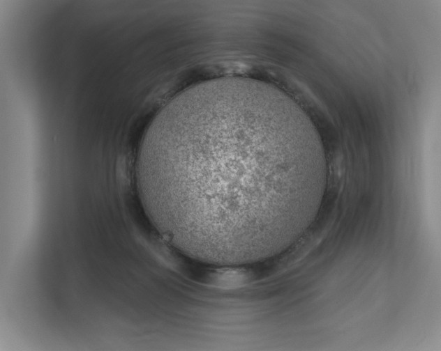 X0000111940218200908101209