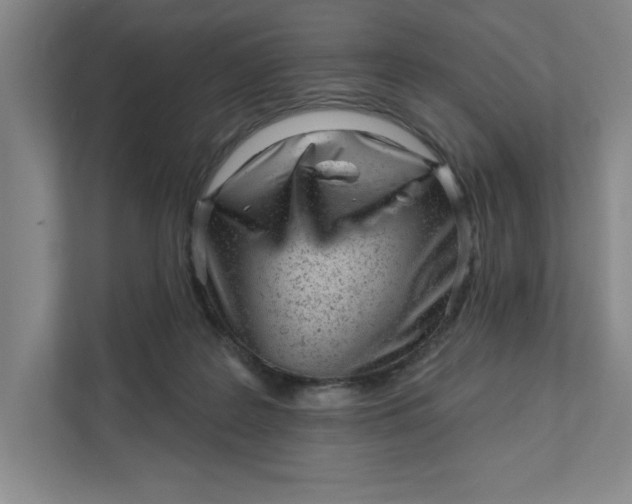 X0000111940219200908101209