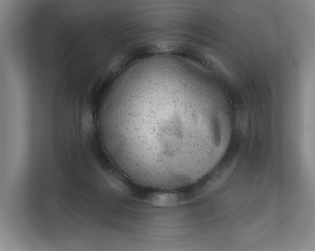 X0000111940220200908101209