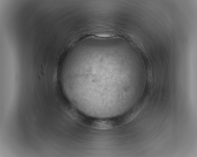 X0000111940221200908101209