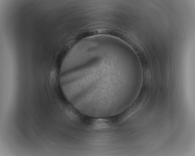 X0000111940222200908101209