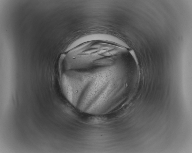 X0000111940223200908101209