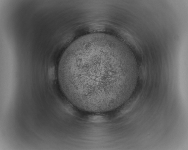 X0000111940224200908101209