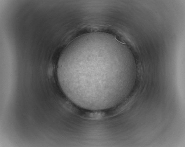 X0000111940225200908101209