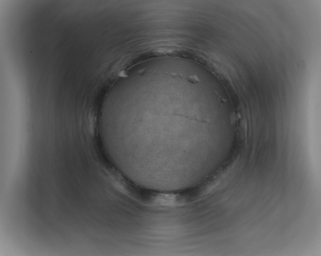 X0000111940227200908101208