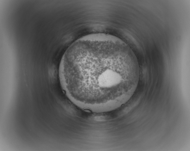 X0000111940228200908101208