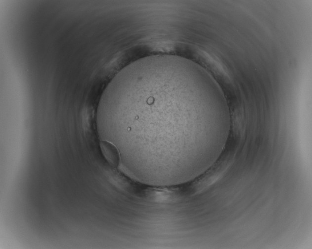 X0000111940229200908101208