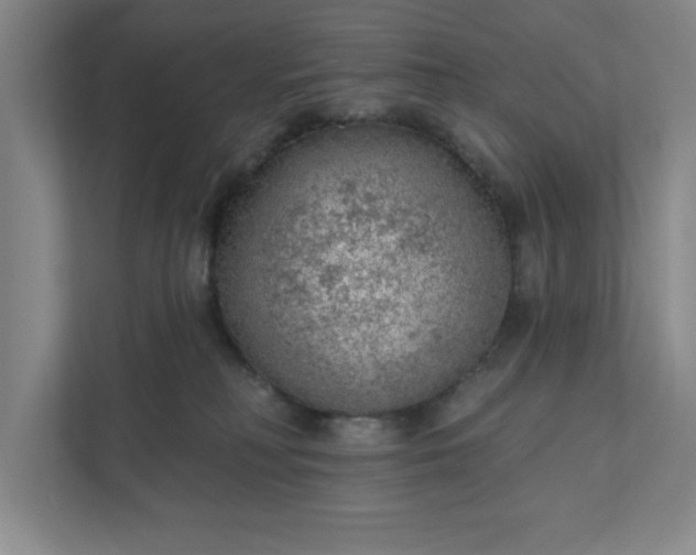 X0000111940230200908101208