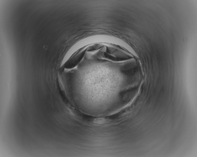 X0000111940231200908101208