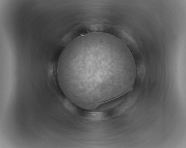 X0000111940233200908101208