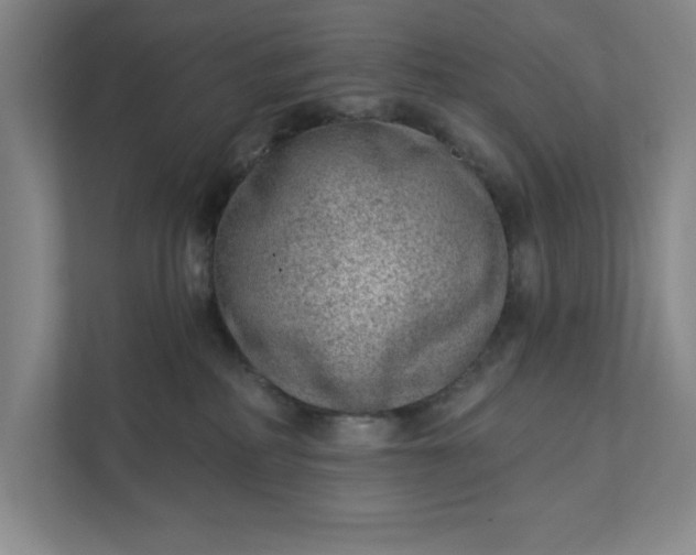 X0000111940234200908101208