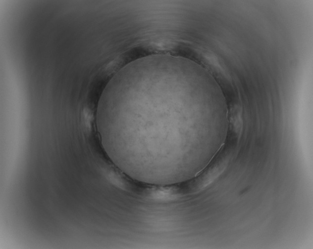 X0000111940235200908101208