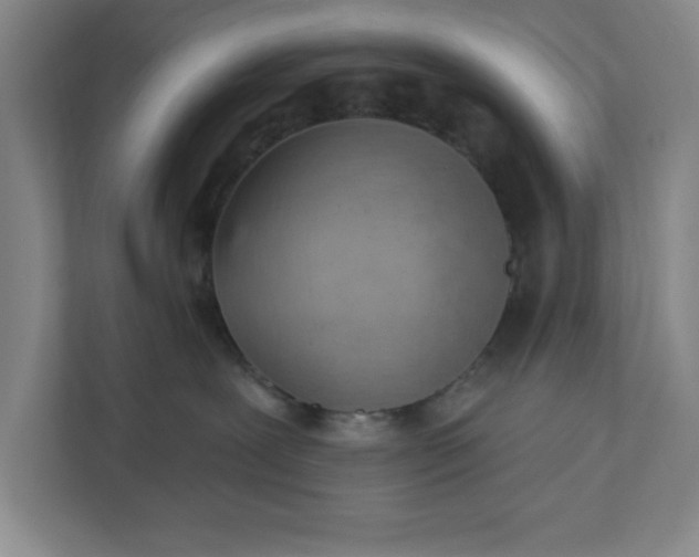 X0000111940239200908101208