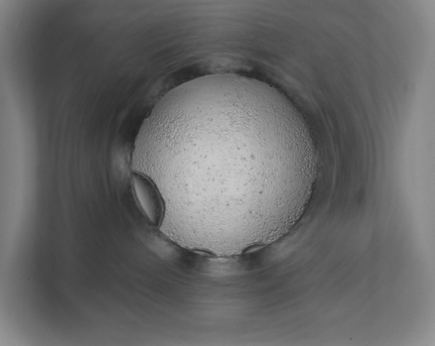 X0000111940240200908101208