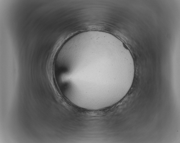 X0000111940241200908101208