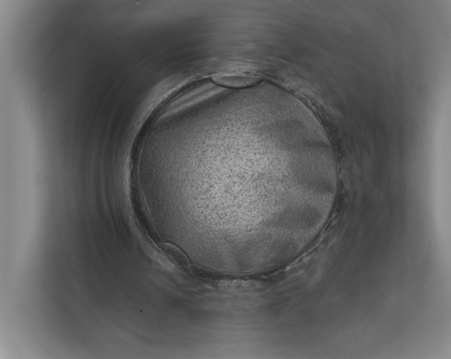 X0000111940242200908101208