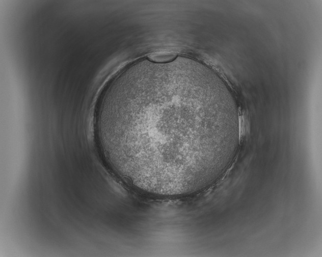 X0000111940243200908101208