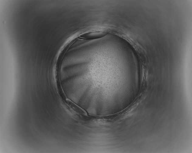 X0000111940244200908101208