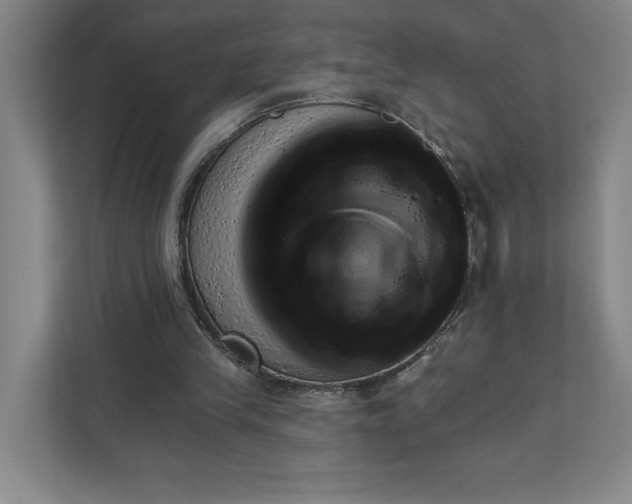 X0000111940245200908101208