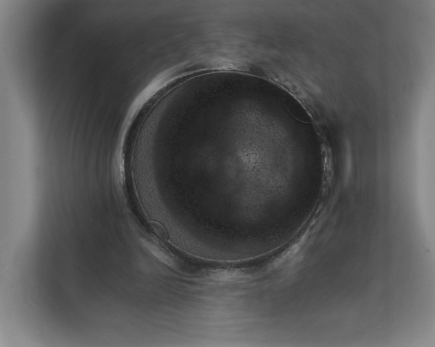 X0000111940246200908101208