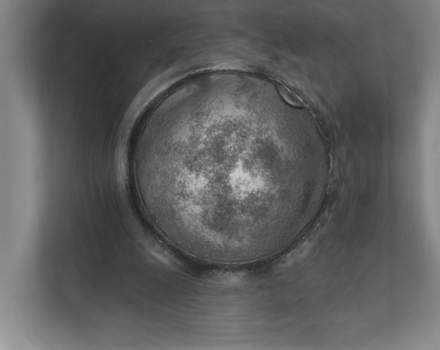 X0000111940247200908101208