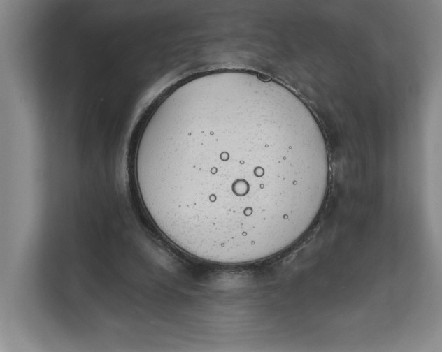 X0000111940248200908101208