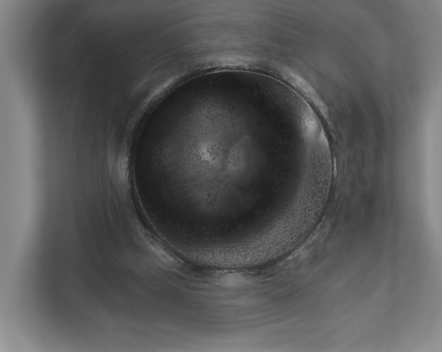 X0000111940249200908101208