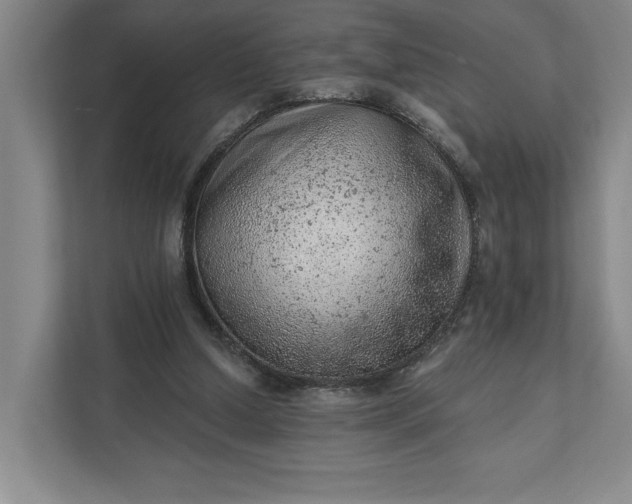 X0000111940250200908101208