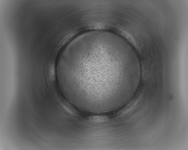 X0000111940251200908101208