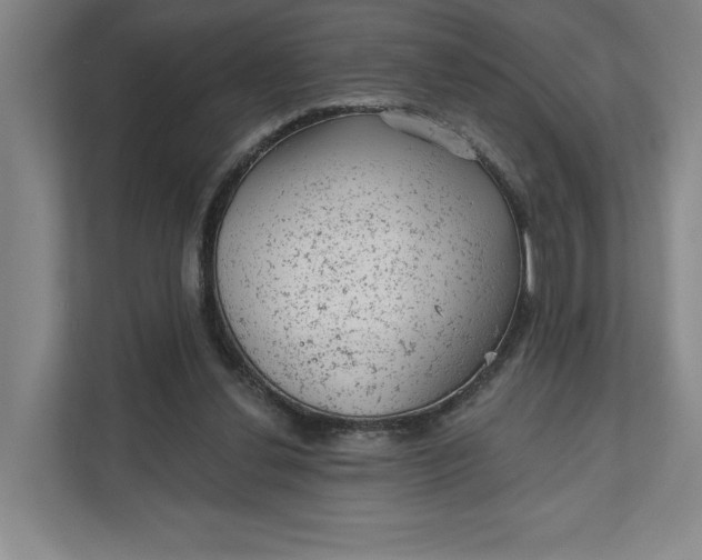 X0000111940252200908101208