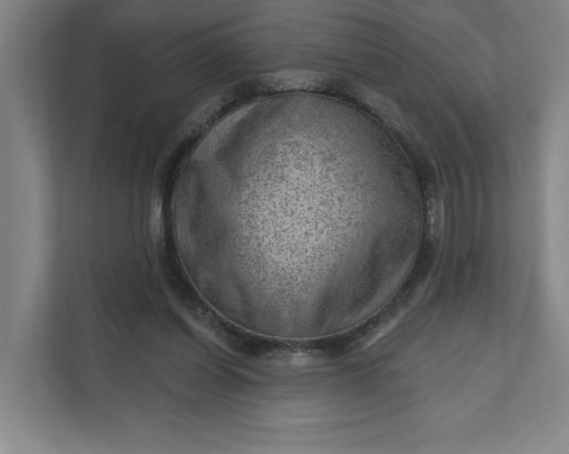 X0000111940254200908101208