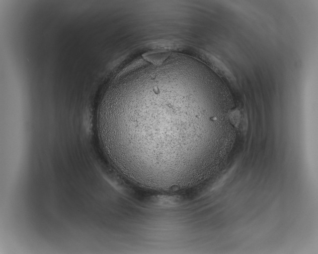 X0000111940255200908101208