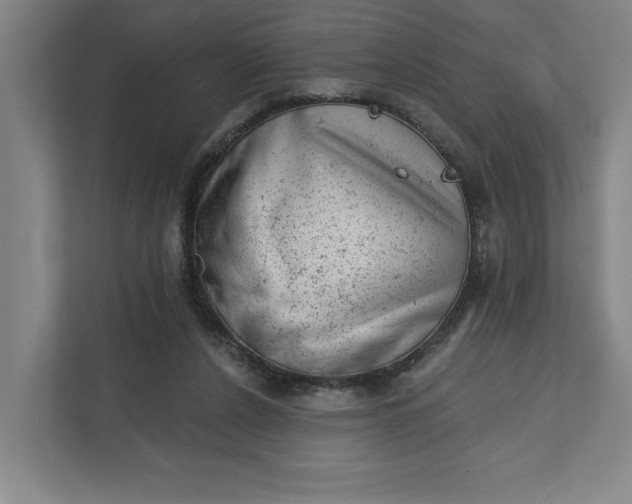 X0000111940256200908101208