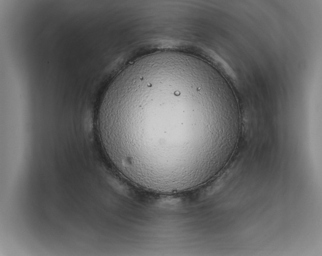 X0000111940257200908101208