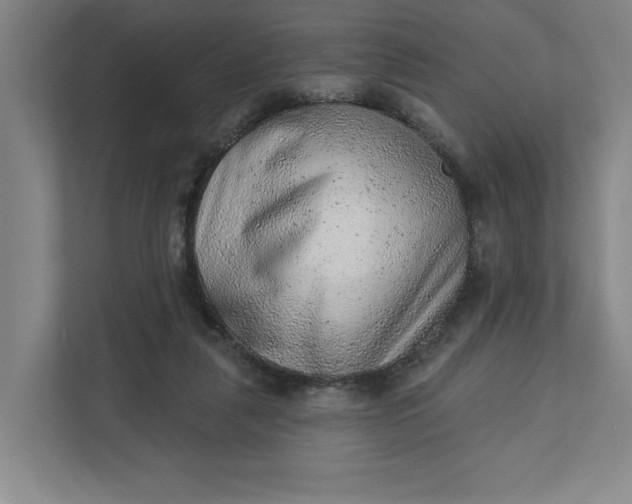 X0000111940259200908101208