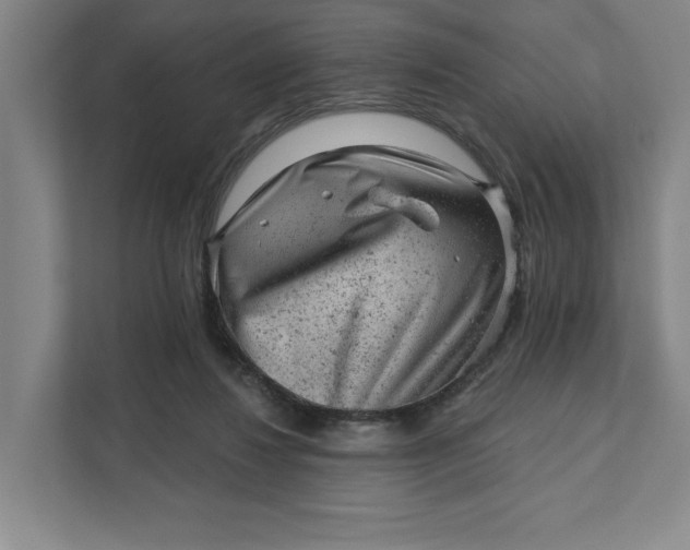 X0000111940260200908101208