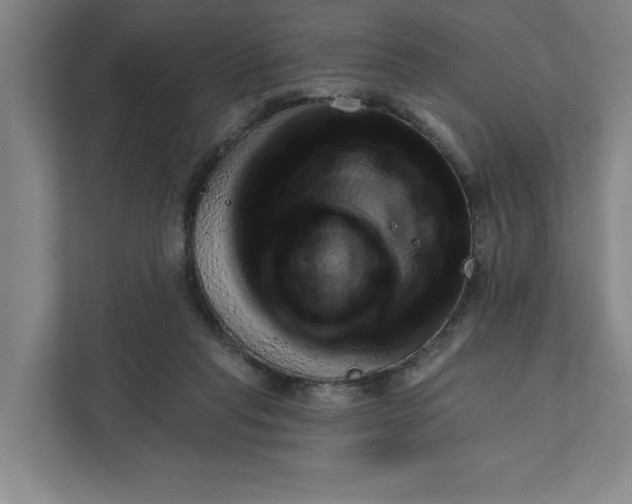 X0000111940261200908101208