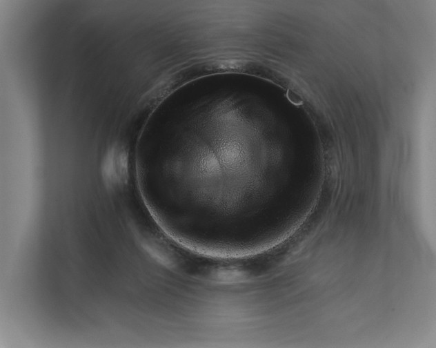 X0000111940262200908101208