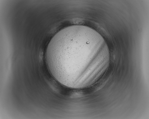 X0000111940263200908101208