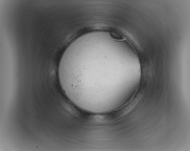 X0000111940265200908101208